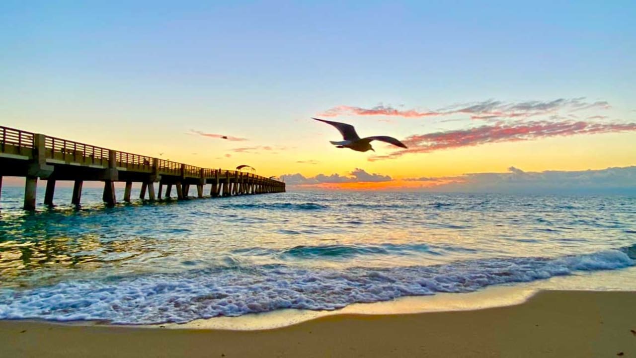 Lake Worth Beach inception-app-prod/YmU2OGI3MTYtODRlMy00MzdhLTg0YWMtZTIyNDhkMDQyYzM1/content/2024/06/8612b8f8ce2e57d0c0d42a589bb64798ef057452.jpeg