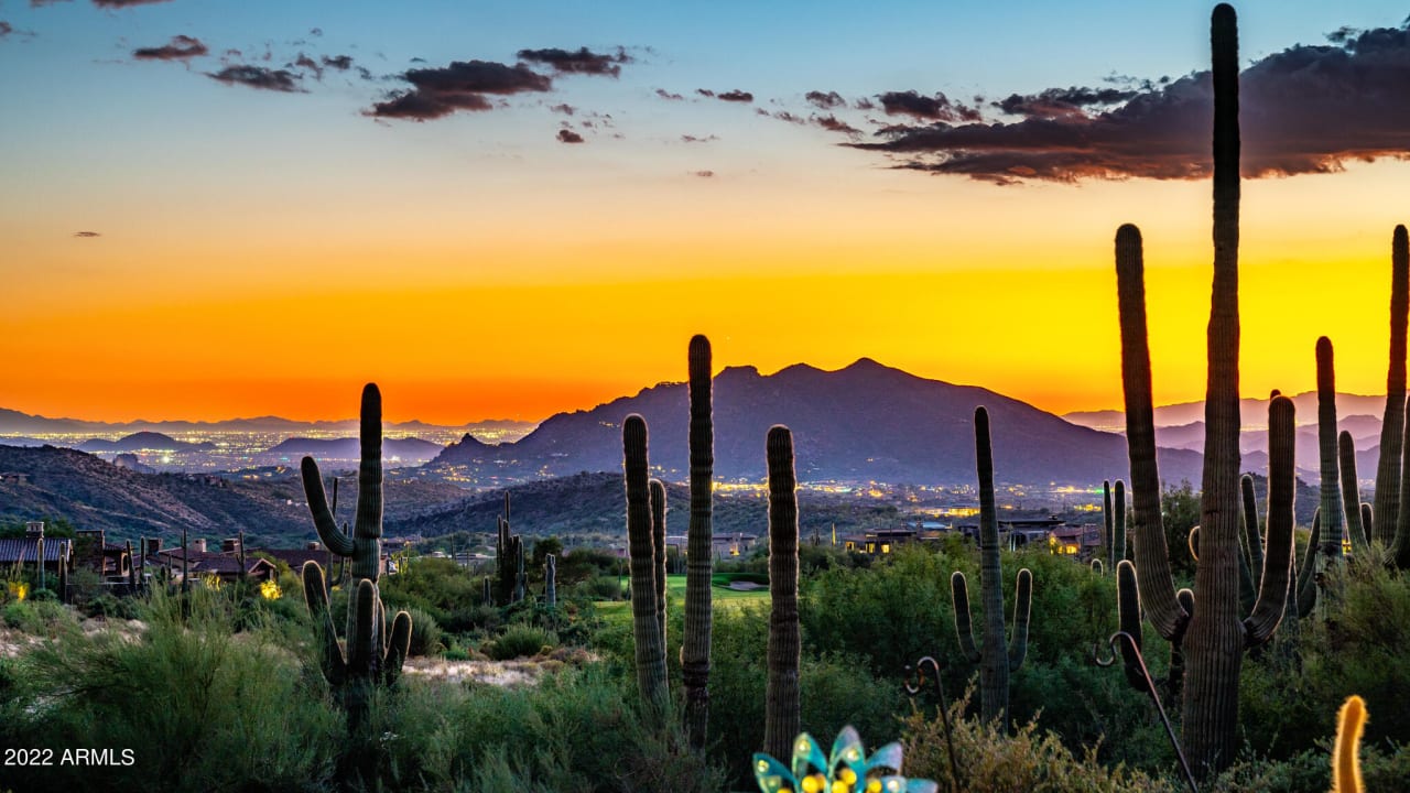Saguaro Forest inception-app-prod/ZDYwMmY2N2ItMzI0My00YzgyLTlkMjUtYmE4NzZjMzdmM2Mw/content/2023/01/20d6841c5c68bd05438214d133f0e253bee6be61.jpg