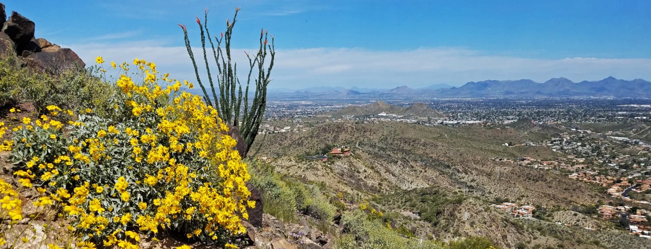 North Phoenix inception-app-prod/ZTk5NjhmZTAtMjQzNS00ZjIxLWIxZDEtOGEzNzg1ZjIyYjc0/content/2026/09/fccd9c5ecd2481344b804bedf969768db5ec59ea.jpg