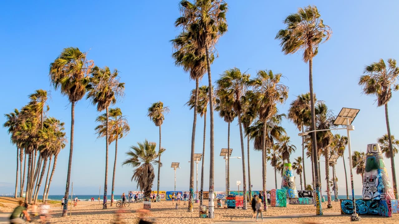 inception-app-prod/ZWYwZjZiZWItMzFiYy00MmEyLWEzMTEtOTlmNDdmMzZlYWFm/content/2015/11/16BIT_ART WALL_WORKING_SIZED.jpg