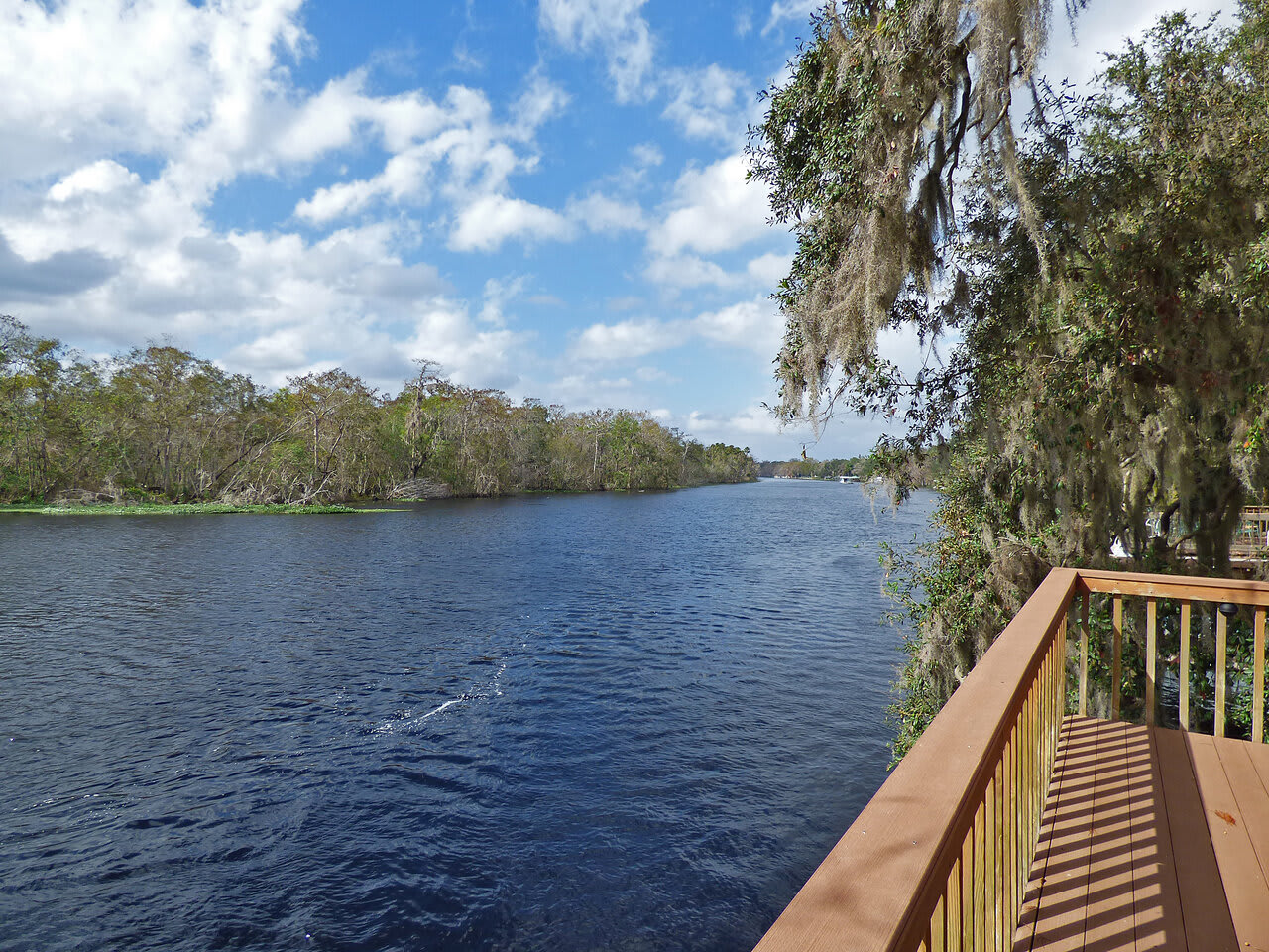 St. Johns River inception-app-prod/ZjQ1MzgwNDEtYWFiNC00ZDU2LTgwZmUtZDkxMDI5ODQ5OTk4/content/2023/08/205431f1a6cb564596af34bec0b1715566009a5c.jpeg