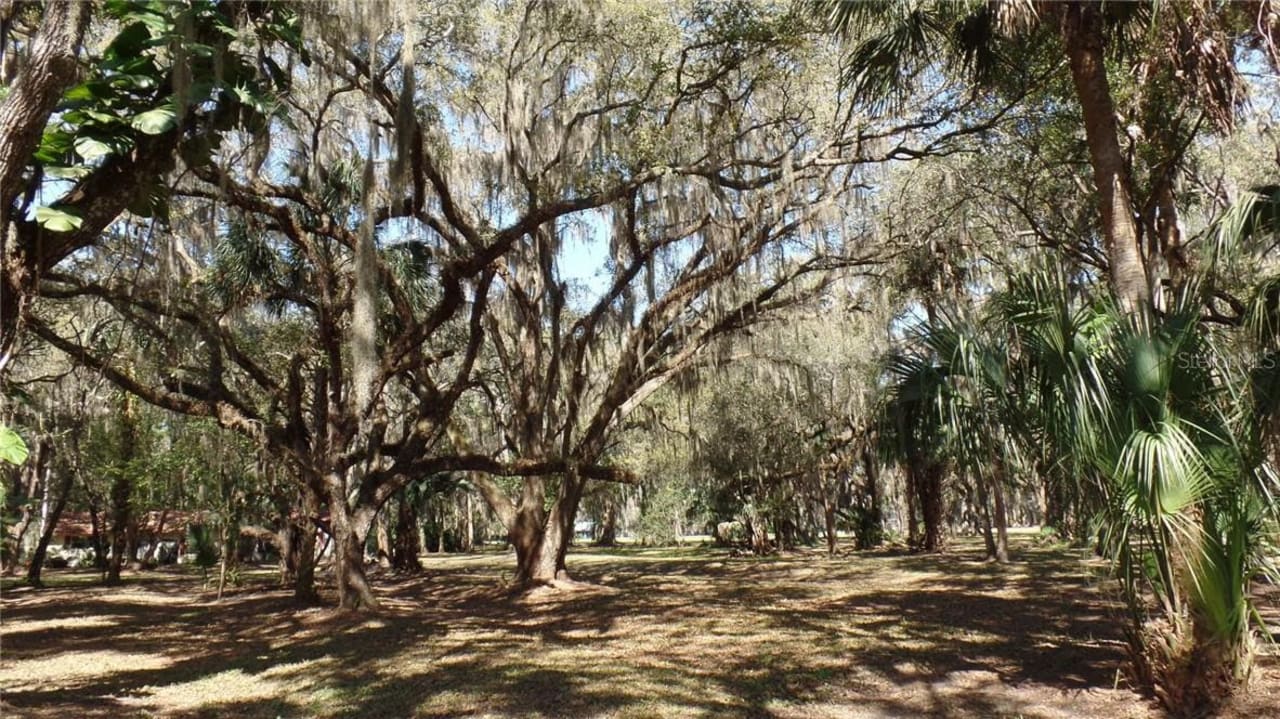 Vacant Land in the Stone Island, Enterprise, Osteen, Debary areas inception-app-prod/ZjQ1MzgwNDEtYWFiNC00ZDU2LTgwZmUtZDkxMDI5ODQ5OTk4/content/2023/08/234ebb0e42de81e5212fd879a3f8d781cdefebec.jpeg