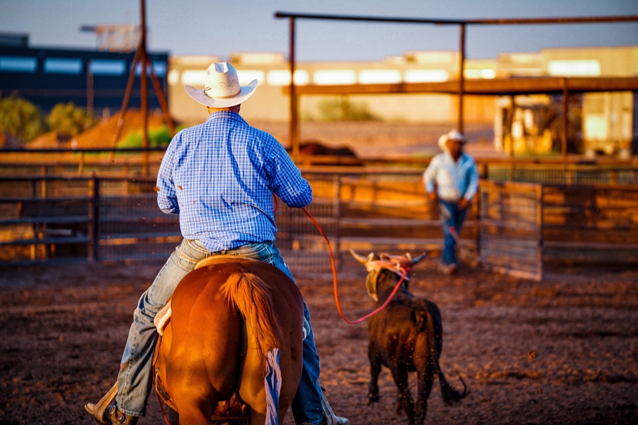 New River inception-app-prod/ZmRmOWUzYTItNzE1Yi00MjllLWJkOTgtZTYzNmQ2ZDJhYjMy/content/2024/06/52e131d08efb9e96d9ab2d7337acddaa4270430a.jpg