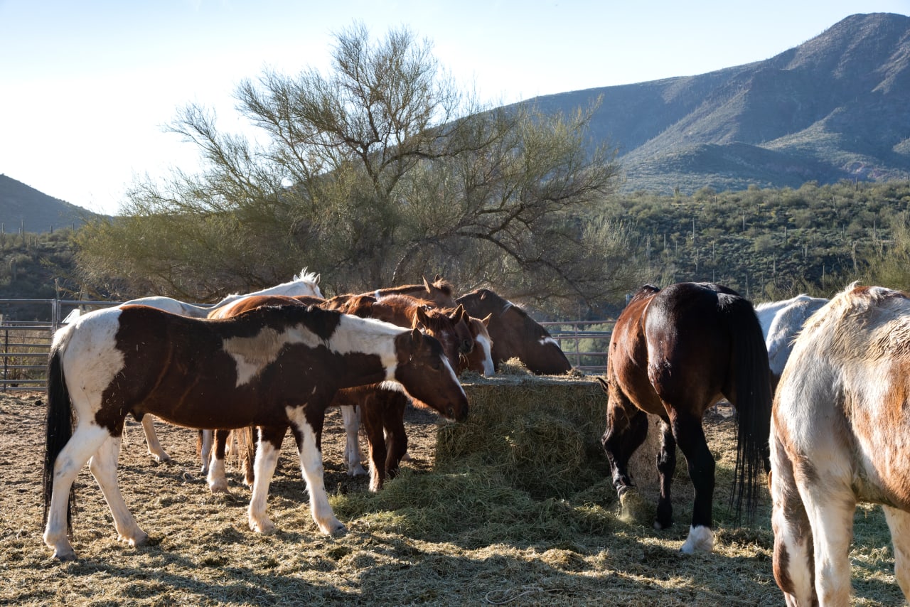 New River inception-app-prod/ZmRmOWUzYTItNzE1Yi00MjllLWJkOTgtZTYzNmQ2ZDJhYjMy/content/2024/06/9542588fe4951a8b49a1847a42ab4133531ada7d.jpg