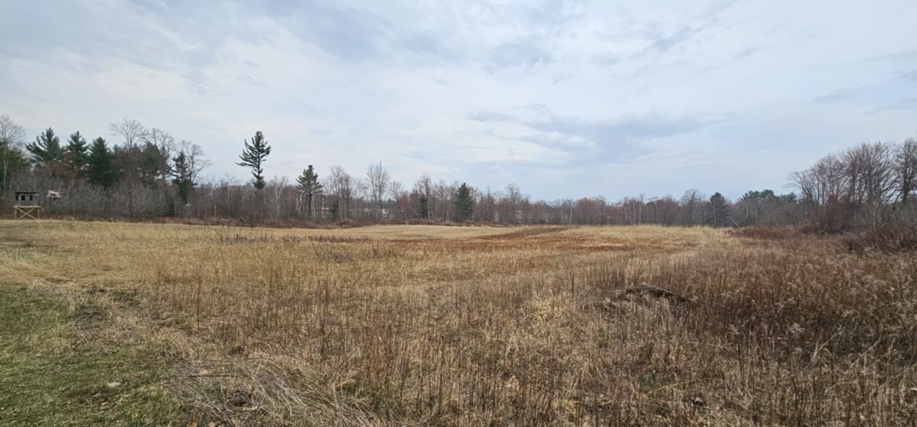 inception-app-prod/MzEwNTE5M2QtOTY0Zi00ODRmLThiZjUtNjIwYzczOWVkYmI4/content/2026/03/296eea431e1810f4bcd1eb2e6d4f54a6186745a5.jpg