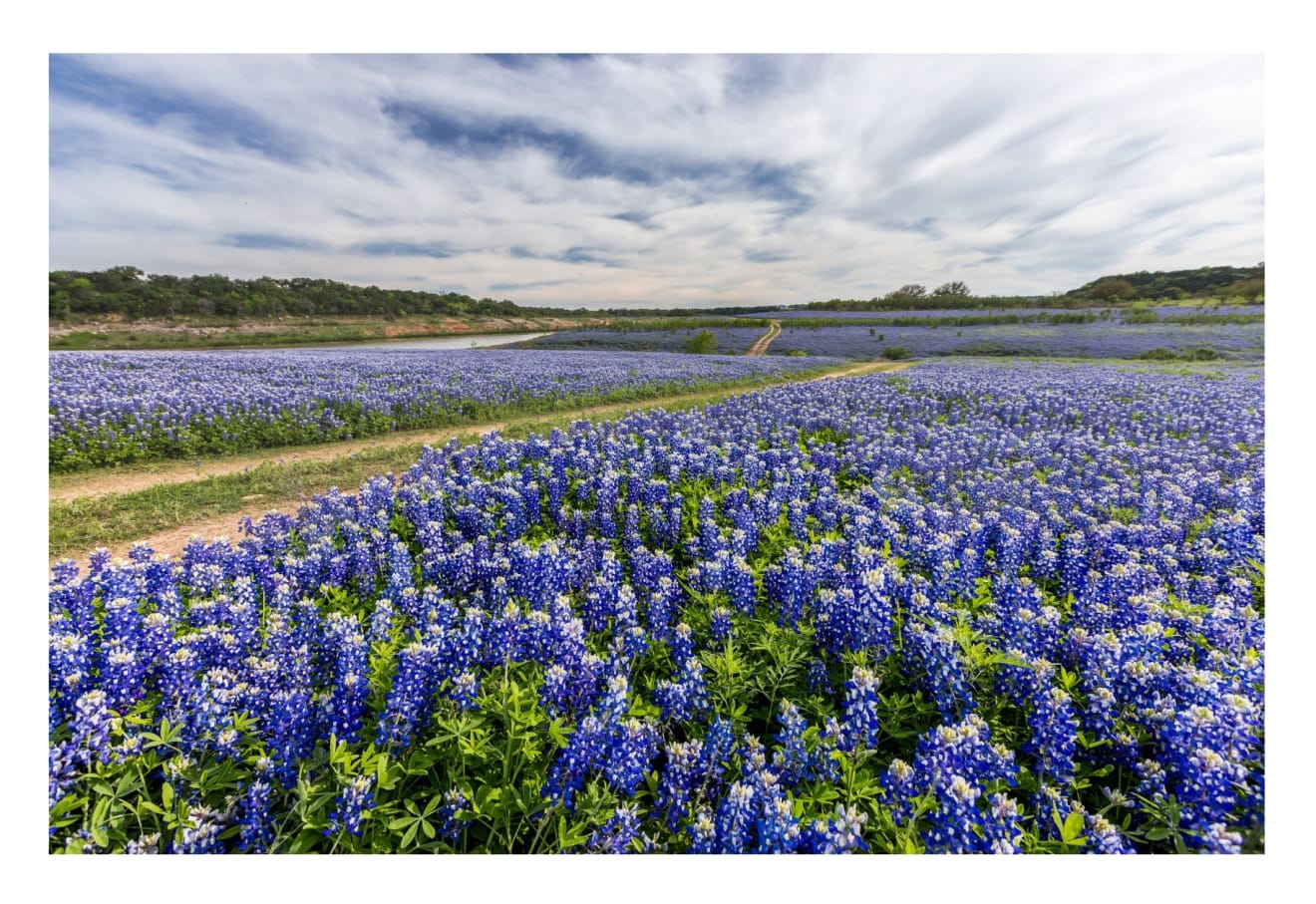 Punky's Corner inception-app-prod/NmZjZDE4ZTQtYThhYi00YzQzLTk5ODMtOWRkNWI2MjA0OWY4/content/2023/08/79929d26197e9bd3ee986a213d5d9c71192e97be.jpg