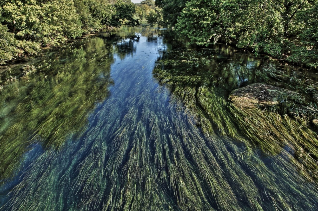 Punky's Corner inception-app-prod/NmZjZDE4ZTQtYThhYi00YzQzLTk5ODMtOWRkNWI2MjA0OWY4/content/2023/08/dad3361954e75520a05e8ec3b2ab2cc9cf842fe4.jpg