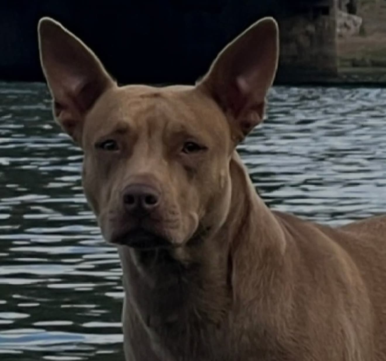 Punky's Corner inception-app-prod/NmZjZDE4ZTQtYThhYi00YzQzLTk5ODMtOWRkNWI2MjA0OWY4/content/2023/09/fc1880b244b7439820cce5b7f38d33aefeb483e5.jpg