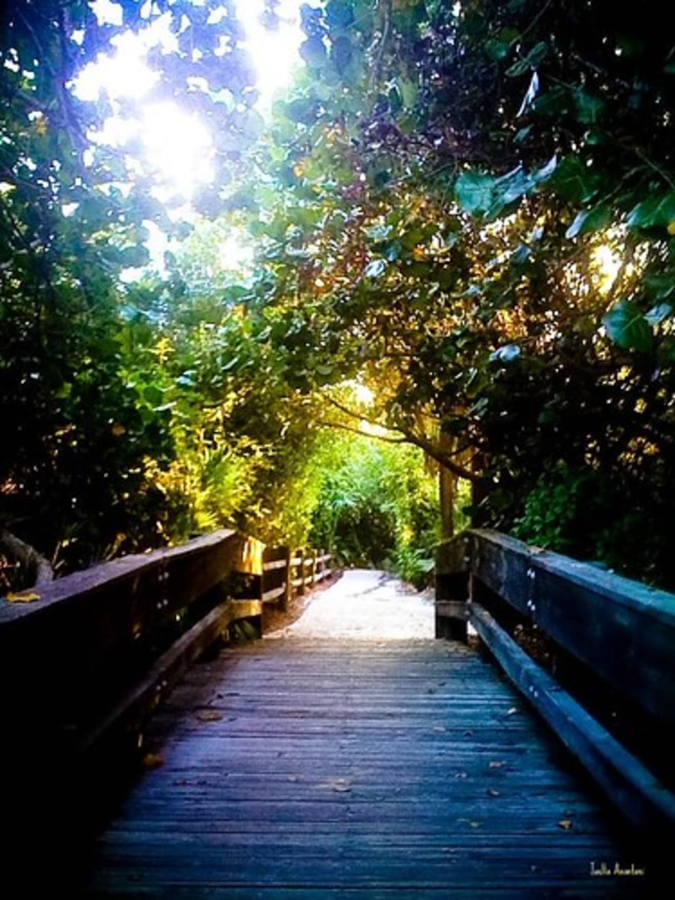 <p>Boca Raton Through the Lens</p> inception-app-prod/YjVkMTQzZGQtMWViOS00YjA0LWFjYjYtNWIwODBhZWIyZjlj/content/2026/04/a8bb47fbbc0312c54920f9bf6e8fab5376fe1203.jpg