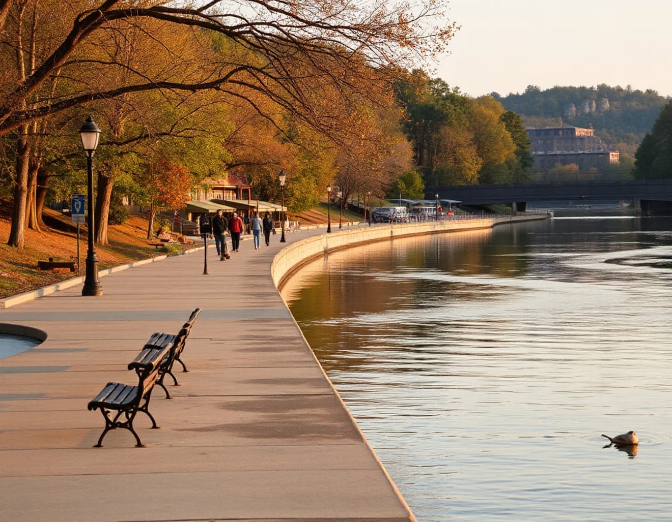 <p>Explore Ozark Through Local Places</p> inception-app-prod/ZjQyZjFiYWEtNTc0MC00OWRjLTliM2ItNTA5NmE3MzE1ZmJm/content/2026/09/791c4d9dfad3ce7f00ba6250b3b443eb9ec512ac.webp
