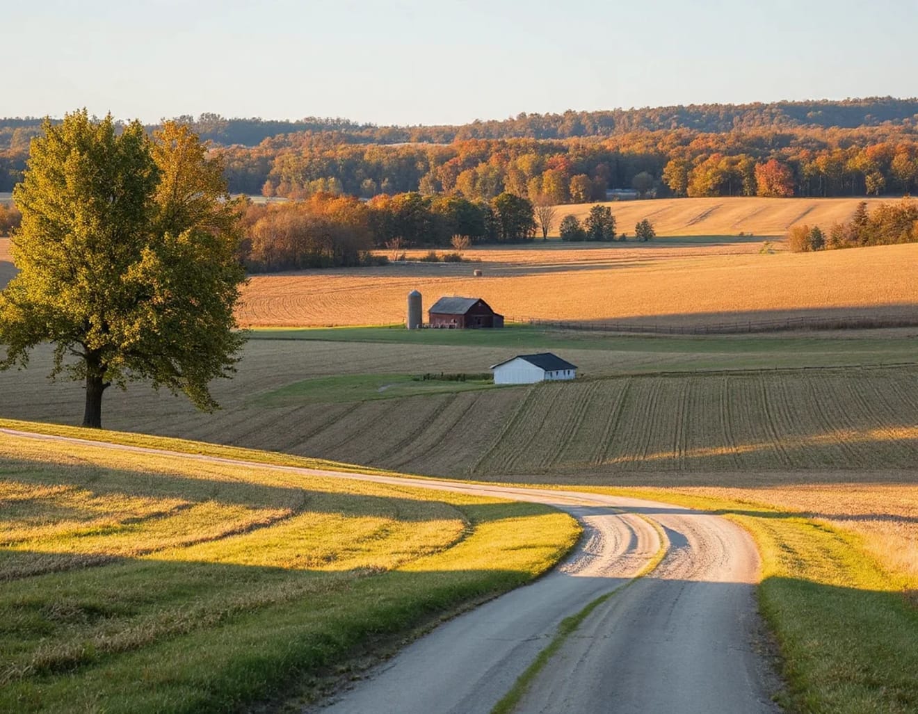 <p>Explore Ozark Through Local Places</p> inception-app-prod/ZjQyZjFiYWEtNTc0MC00OWRjLTliM2ItNTA5NmE3MzE1ZmJm/content/2026/09/e2ab73850d78c13355adeabd8a9f32ad5443e721.webp