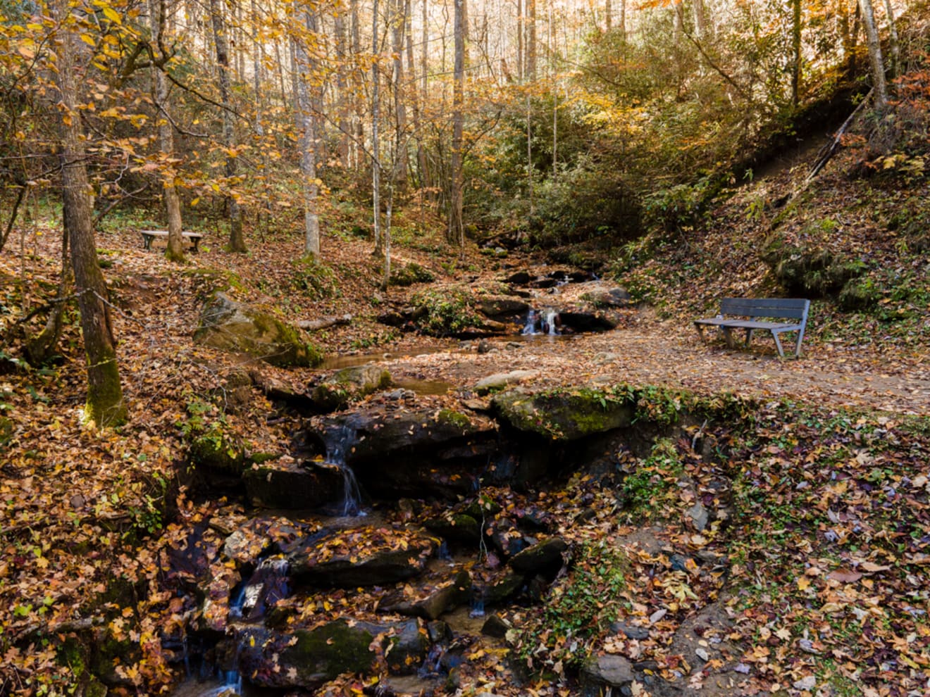 <p>Mount Soma Photo Gallery</p> inception-app-prod/ZjczNTUxMGUtNWMzOC00N2E0LWJkOTUtMTIyMDZhZTViY2E0/content/2022/04/70a8d439600c08c6a9282580e9ba452e5eef172f.jpg