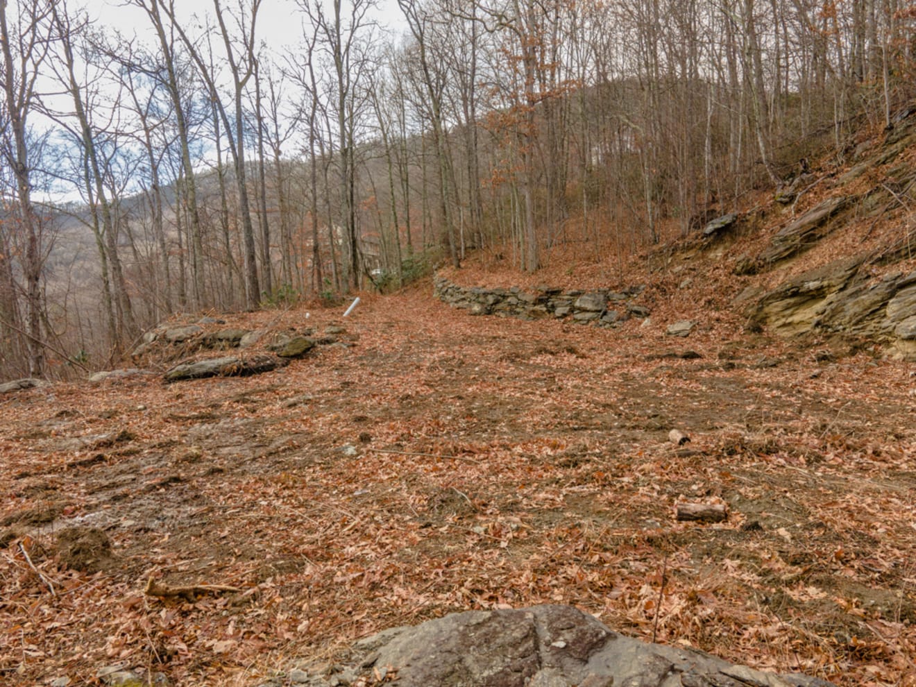 <p>Mount Soma Photo Gallery</p> inception-app-prod/ZjczNTUxMGUtNWMzOC00N2E0LWJkOTUtMTIyMDZhZTViY2E0/content/2022/04/f31fb54759de7d4ed5b6b59ec63bc189f7782770.jpg