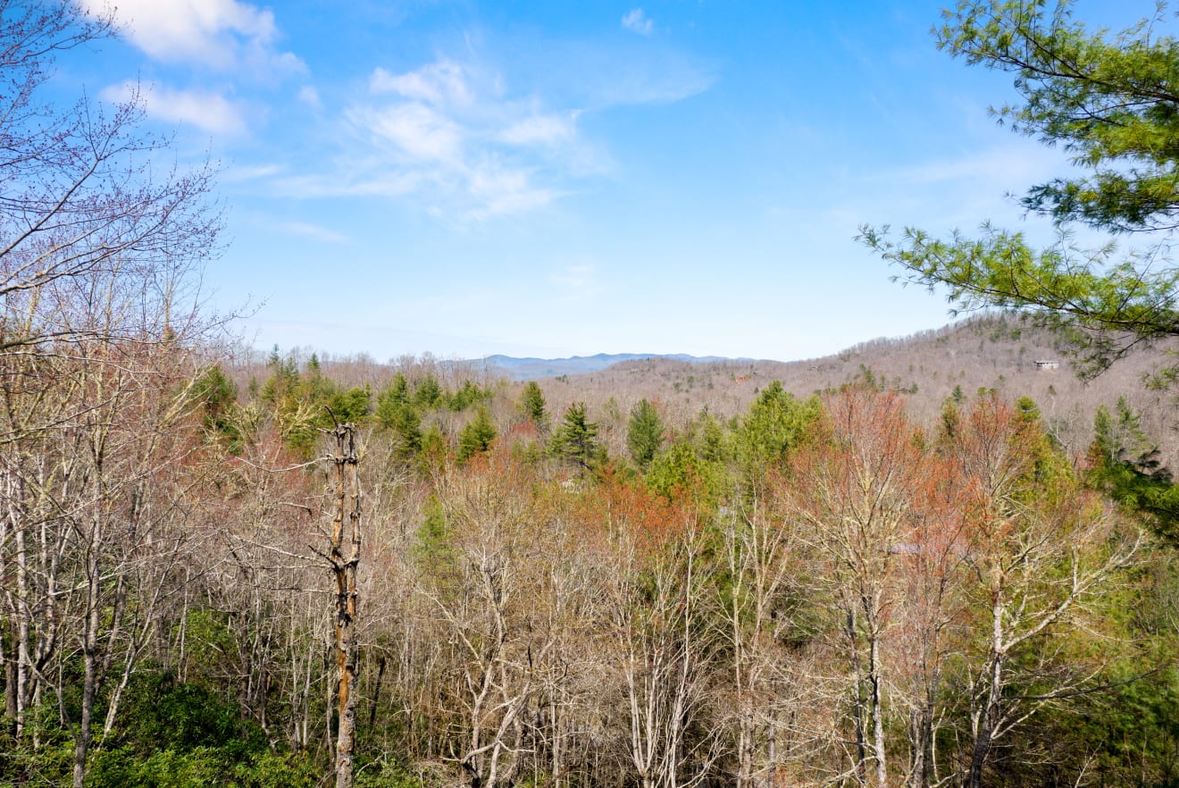 <p>184 Dvdegi Ct Photos</p> inception-app-prod/ZjczNTUxMGUtNWMzOC00N2E0LWJkOTUtMTIyMDZhZTViY2E0/content/2023/08/c8193124826624d16de25aca36caae34376c0b23.jpg