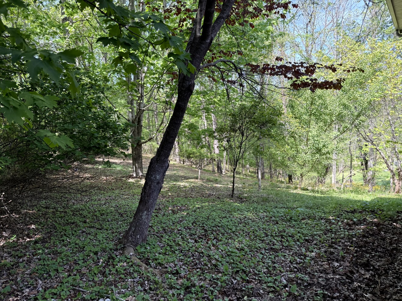 <p>44 Deer Meadows Drive Photos</p> inception-app-prod/ZjczNTUxMGUtNWMzOC00N2E0LWJkOTUtMTIyMDZhZTViY2E0/content/2026/05/0a4fe513e8ceb1247f7b261bb600cd580bfbf7a0.jpg