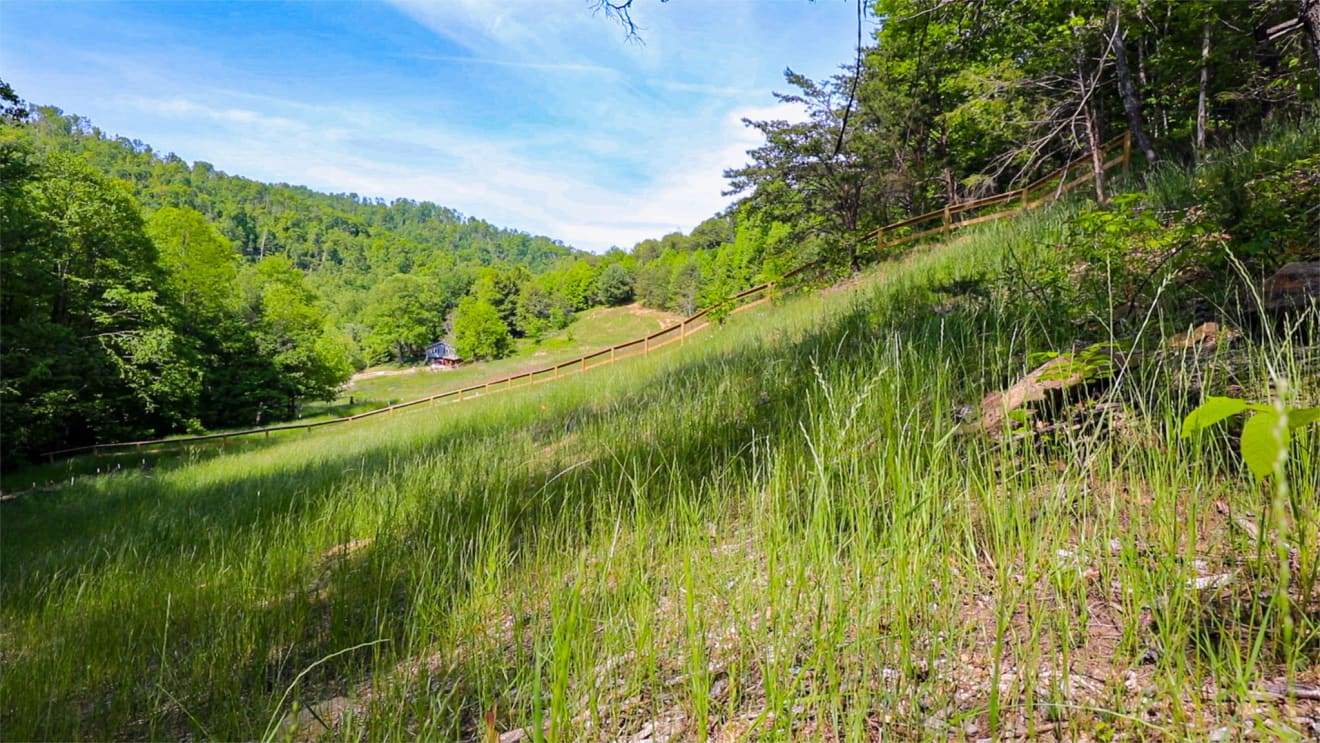 <p>Cook Cove Rd | Fiori Retreats Lot 2</p> inception-app-prod/ZjczNTUxMGUtNWMzOC00N2E0LWJkOTUtMTIyMDZhZTViY2E0/content/2026/05/1c341708bf497386d8458ece447252bdfa6640da.jpg