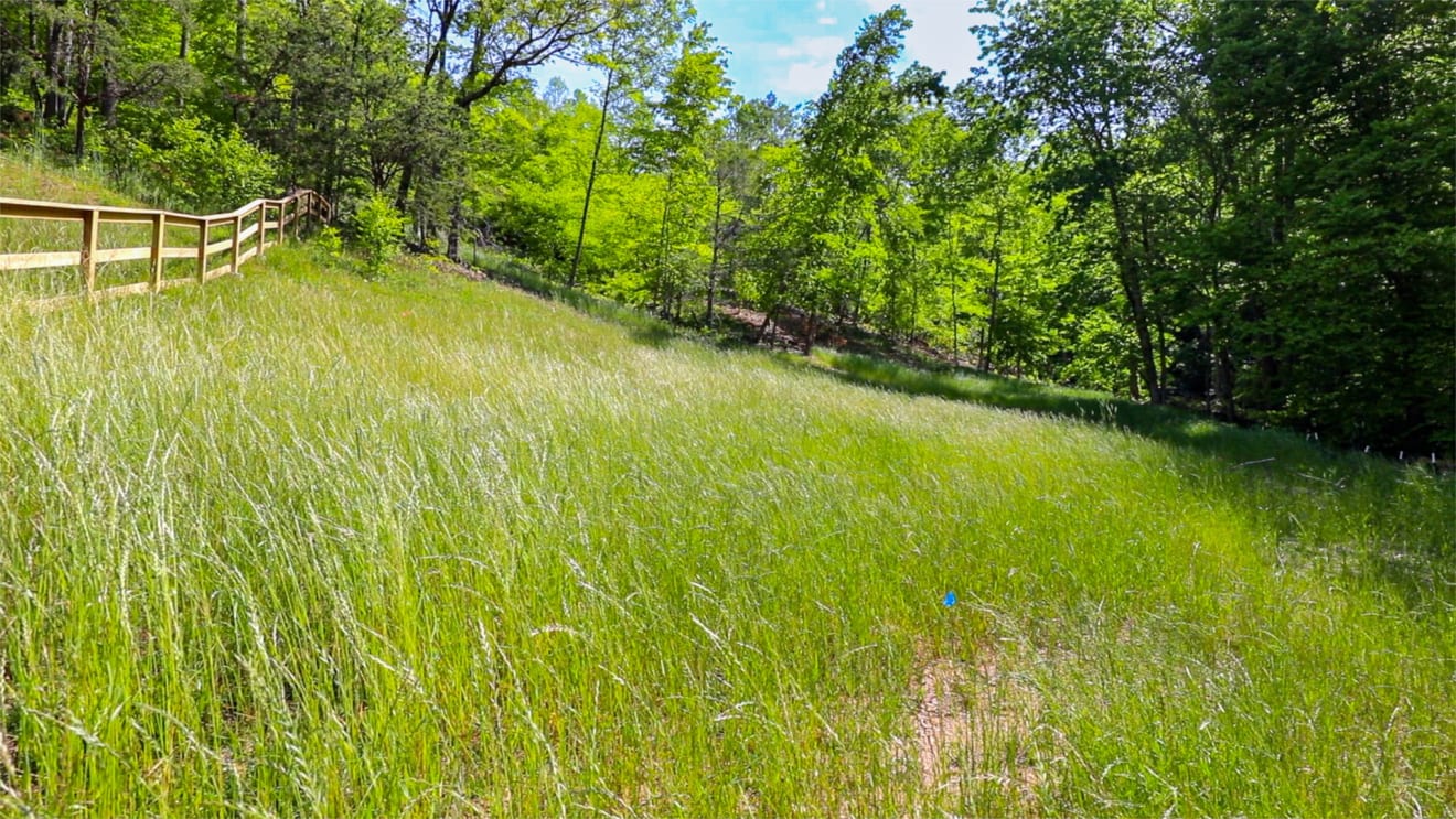 <p>Cook Cove Rd | Fiori Retreats Lot 2</p> inception-app-prod/ZjczNTUxMGUtNWMzOC00N2E0LWJkOTUtMTIyMDZhZTViY2E0/content/2026/05/a2280afd6ad9603f1223edfd23bec8f5f59725e7.jpg