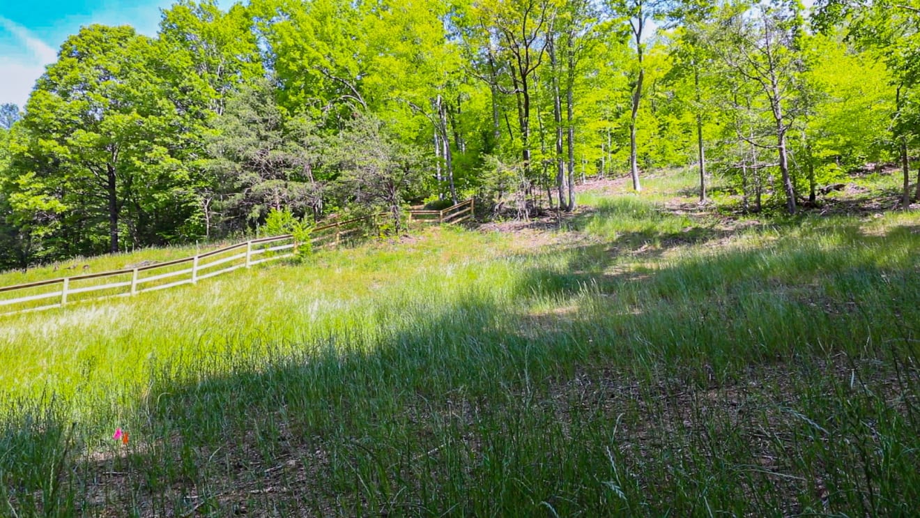 <p>Cook Cove Rd | Fiori Retreats Lot 2</p> inception-app-prod/ZjczNTUxMGUtNWMzOC00N2E0LWJkOTUtMTIyMDZhZTViY2E0/content/2026/05/ec41dc3b23b2c2c621b10e9e49ee5c941848e14d.jpg