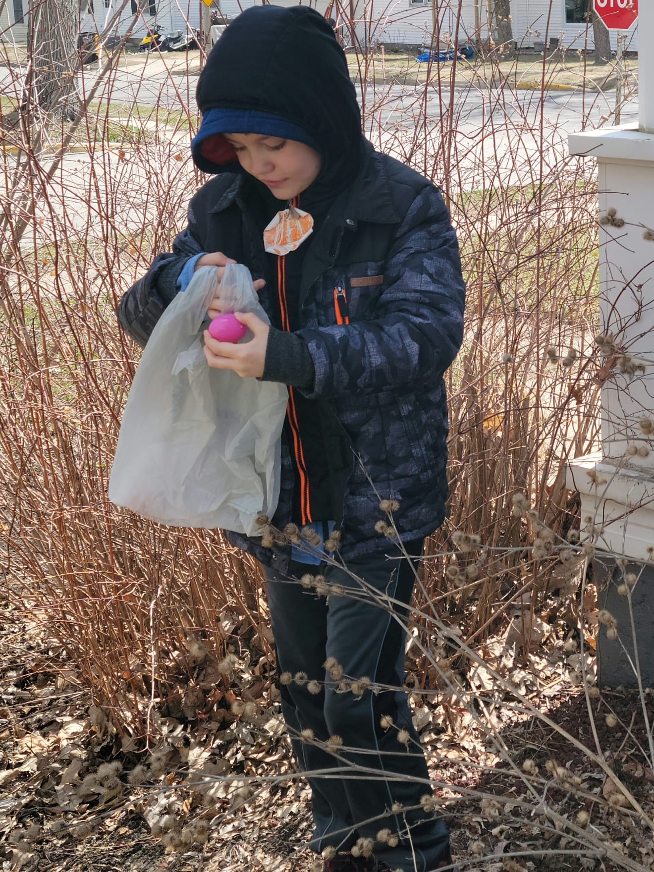 Got Egged? inception-app-prod/ZjdhYzhmNGUtMDQyMS00MGJlLWI2NTEtMDM4NTVkNWRmOGY1/content/2022/05/f1d6d190c0338261de7a83be99eda4c1175b3225.jpg