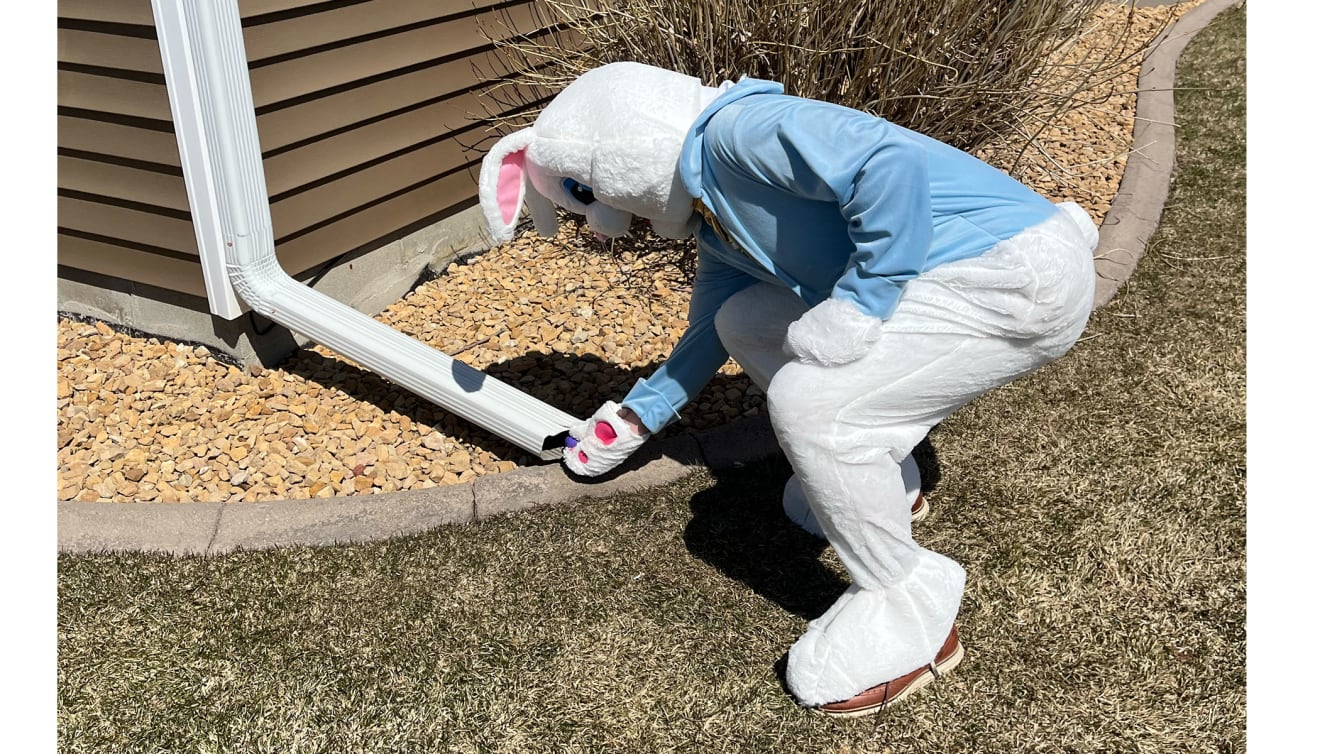 Got Egged? inception-app-prod/ZjdhYzhmNGUtMDQyMS00MGJlLWI2NTEtMDM4NTVkNWRmOGY1/content/2023/04/af3efb5e3b82a481649a33418fa9a92153020b58.jpg