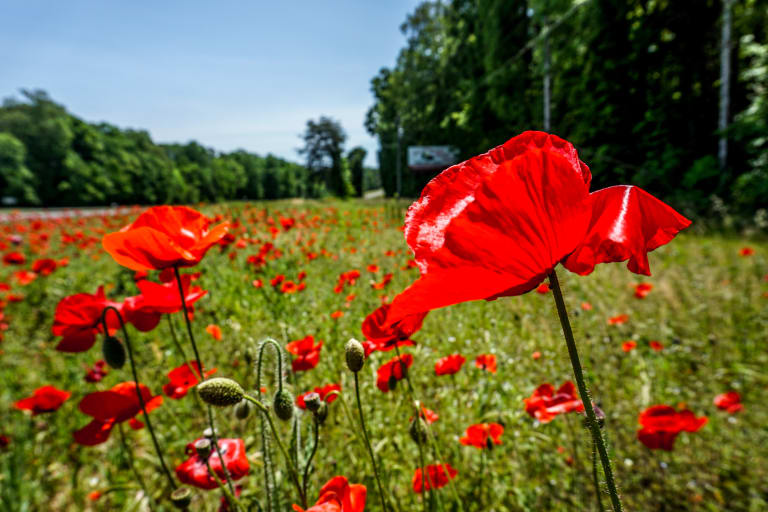 <p>Let's chat!</p> inception-app-prod/M2FkNTQ2NTItODEyOS00OTIzLTgwNDctZTY3ZjBlOWRiZGE0/content/2023/01/f9880f41edab1d3790ab4dc94aef17fa3524963c.jpg