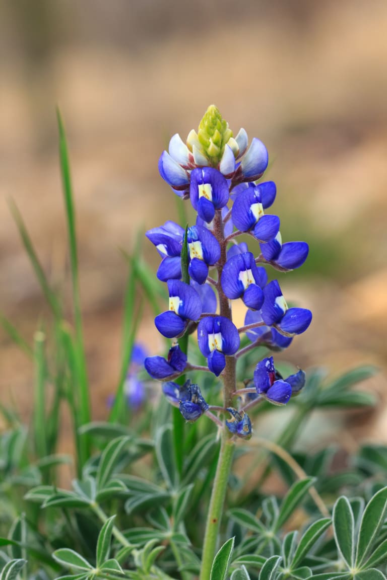 Contact us inception-app-prod/MDI2NmQyNDYtMTA0Ny00NGE4LTgzZTktMjU5ZTg1N2FmMTkw/content/2023/04/2672c96acde67fb3a0ae452073d490526ad9dd18.png