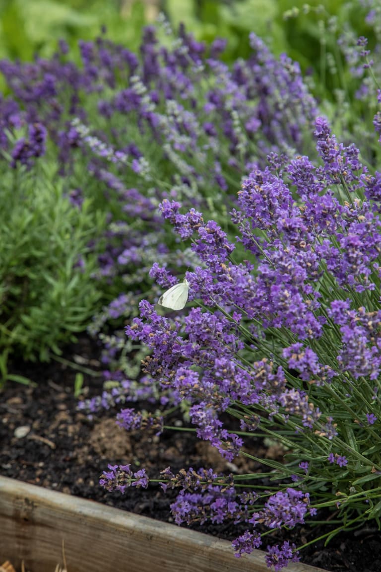 Some of our products... inception-app-prod/MDlmNzgzYTItMTQ2Mi00NzhlLWFjOWItZTZiOTI5MDgxNGJl/content/2023/03/11a9ee151c17ce4c777038ec75ef440def18dce0.jpg