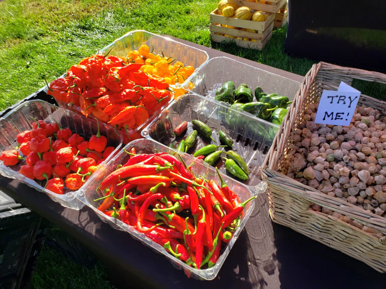 Some of our products... inception-app-prod/MDlmNzgzYTItMTQ2Mi00NzhlLWFjOWItZTZiOTI5MDgxNGJl/content/2023/03/1388f1735ca98d2218777156ae8d2e837fec7627.jpeg