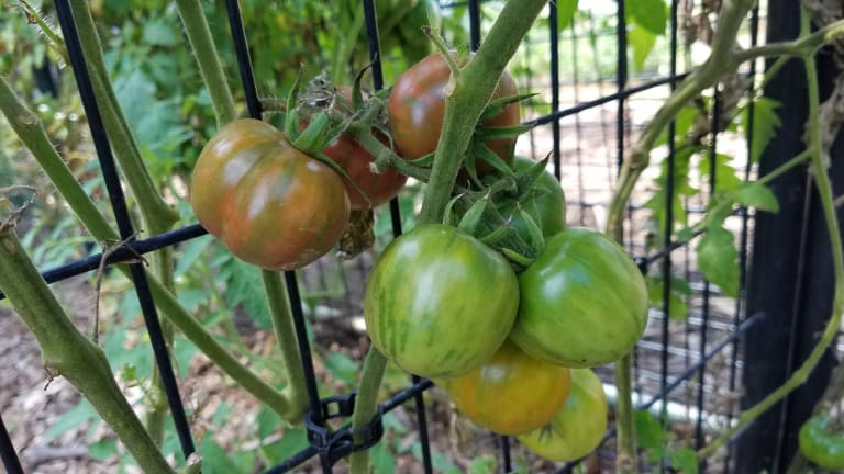 Some of our products... inception-app-prod/MDlmNzgzYTItMTQ2Mi00NzhlLWFjOWItZTZiOTI5MDgxNGJl/content/2023/03/23db4185ccd762af6729c39059ede97f76049c92.jpeg