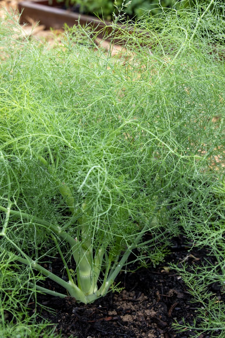 Some of our products... inception-app-prod/MDlmNzgzYTItMTQ2Mi00NzhlLWFjOWItZTZiOTI5MDgxNGJl/content/2023/03/426e4319274284564f67e764719515fbfff358f6.jpg