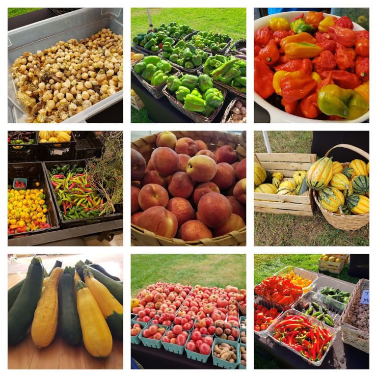 Some of our products... inception-app-prod/MDlmNzgzYTItMTQ2Mi00NzhlLWFjOWItZTZiOTI5MDgxNGJl/content/2023/03/5626c82bb590c5f5ae9fdd7cd2a18290327e41b4.jpeg