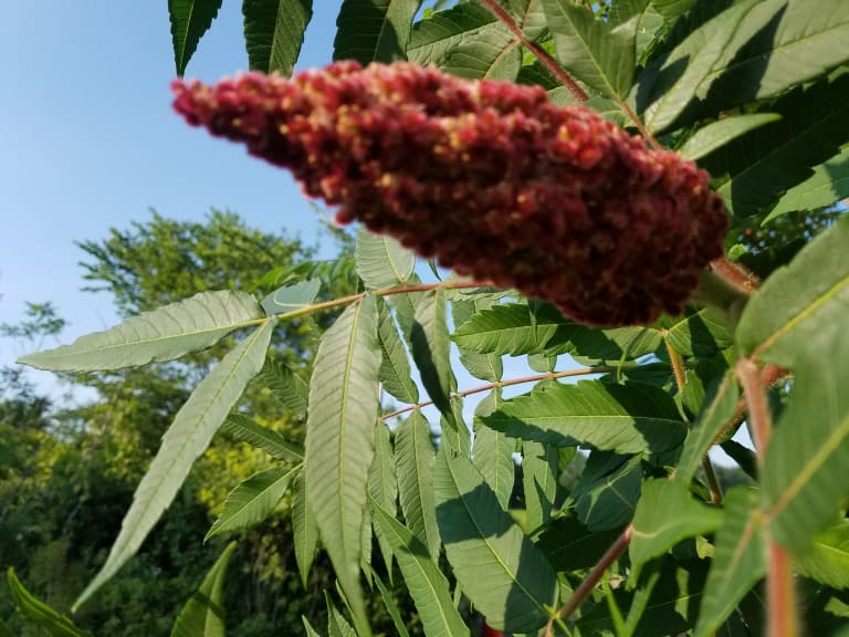 Some of our products... inception-app-prod/MDlmNzgzYTItMTQ2Mi00NzhlLWFjOWItZTZiOTI5MDgxNGJl/content/2023/03/8440fe04bb0e77c7d57cb2c9598dbebf3061d6c1.jpg