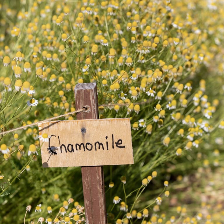 Some of our products... inception-app-prod/MDlmNzgzYTItMTQ2Mi00NzhlLWFjOWItZTZiOTI5MDgxNGJl/content/2023/03/aab0281fca4a5022c58bf665195d9f2bf6102e9d.jpg