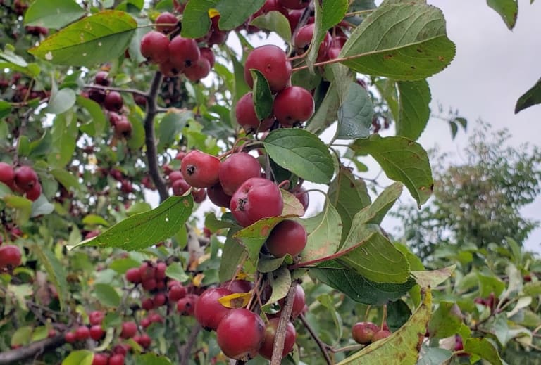 Some of our products... inception-app-prod/MDlmNzgzYTItMTQ2Mi00NzhlLWFjOWItZTZiOTI5MDgxNGJl/content/2023/03/cf6d9b769436188759460cc82f35411e390f9c4d.jpeg