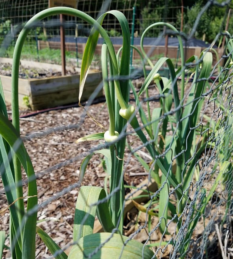 Some of our products... inception-app-prod/MDlmNzgzYTItMTQ2Mi00NzhlLWFjOWItZTZiOTI5MDgxNGJl/content/2023/03/f7b126893bbc1e6ca8f6fc7f905c0510e3ee9f5d.jpg