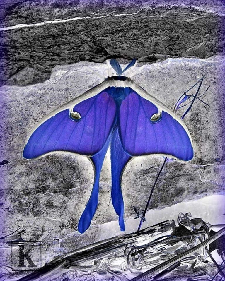 inception-app-prod/MDlmNzgzYTItMTQ2Mi00NzhlLWFjOWItZTZiOTI5MDgxNGJl/content/2023/06/42e214adafa661ba3b3053bf776b09c4ce2a7636.jpeg