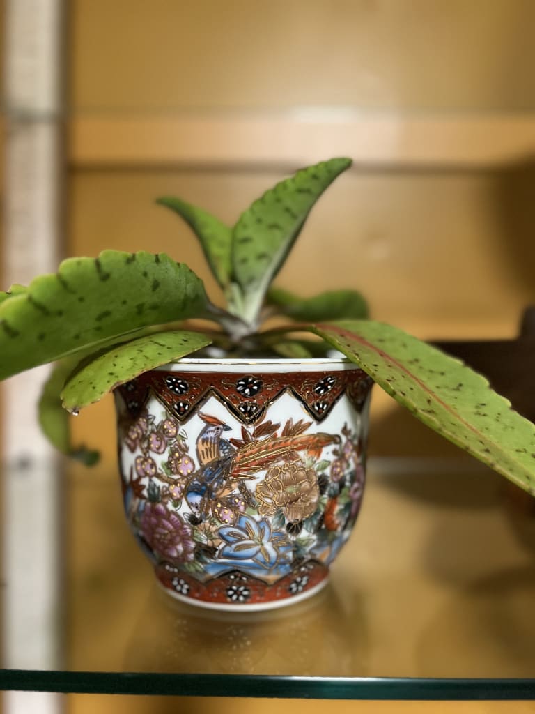 Some of our products... inception-app-prod/MDlmNzgzYTItMTQ2Mi00NzhlLWFjOWItZTZiOTI5MDgxNGJl/content/2023/10/27b6dd5e9dcd713bca38a33a5f85d7df5f8abc8e.jpeg