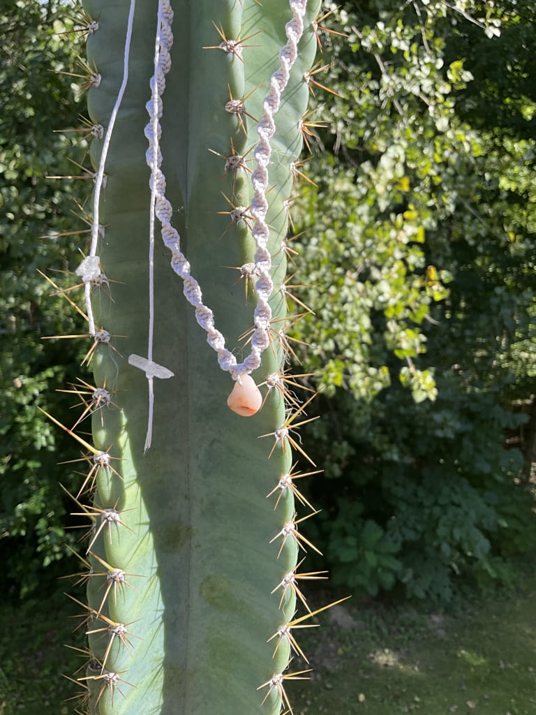 Some of our products... inception-app-prod/MDlmNzgzYTItMTQ2Mi00NzhlLWFjOWItZTZiOTI5MDgxNGJl/content/2023/10/4a895eb8848ffa54f09f18566e5f9927b3456053.jpeg