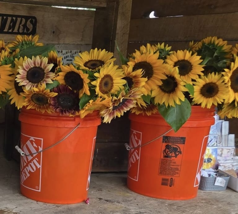 Some of our products... inception-app-prod/MDlmNzgzYTItMTQ2Mi00NzhlLWFjOWItZTZiOTI5MDgxNGJl/content/2025/08/1c02241ae54e7a0ed44244211cd29d6619b5dfb1.jpg