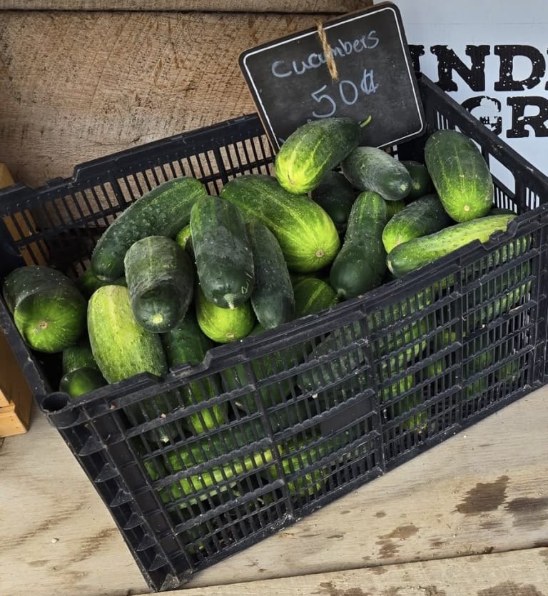 Some of our products... inception-app-prod/MDlmNzgzYTItMTQ2Mi00NzhlLWFjOWItZTZiOTI5MDgxNGJl/content/2025/08/392edcd6672d06f6e5707c763bbdede8041d3141.jpg