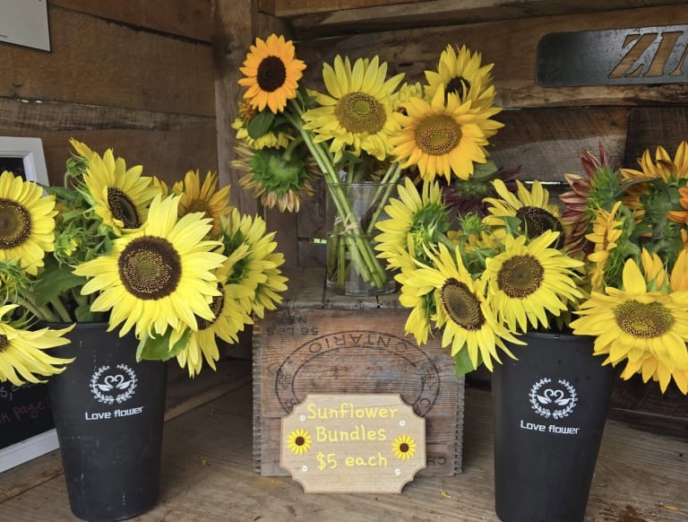 Some of our products... inception-app-prod/MDlmNzgzYTItMTQ2Mi00NzhlLWFjOWItZTZiOTI5MDgxNGJl/content/2025/08/82e1ca58483ded334d542fecb3fa7787684e5870.jpg