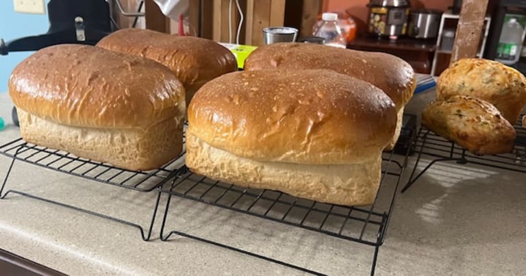 Some of our products... inception-app-prod/MDlmNzgzYTItMTQ2Mi00NzhlLWFjOWItZTZiOTI5MDgxNGJl/content/2025/09/1adc76262dd298676ec2ca607c9d850901af0bb2.jpeg