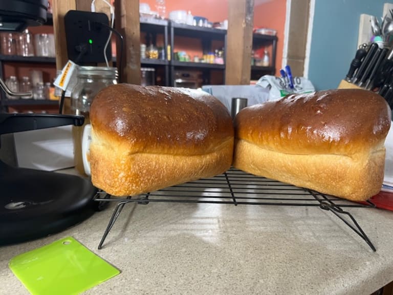 Some of our products... inception-app-prod/MDlmNzgzYTItMTQ2Mi00NzhlLWFjOWItZTZiOTI5MDgxNGJl/content/2025/09/89866e41dc8e40339d258107b90689522c88c710.jpeg