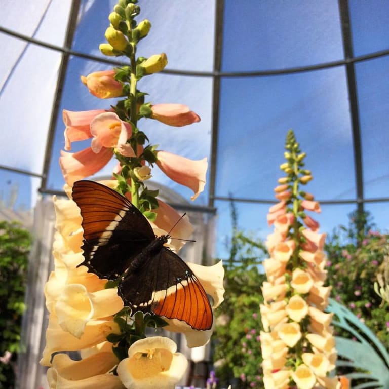 <p>4. The Living Desert</p> inception-app-prod/MTExNzI4M2ItMjVkNC00Y2M0LWJmZjAtOGI0ZTUwMDVmNzNh/content/2023/01/047f5d9c791bc330b2e651d18b6c7b8b4bcd7650.jpg