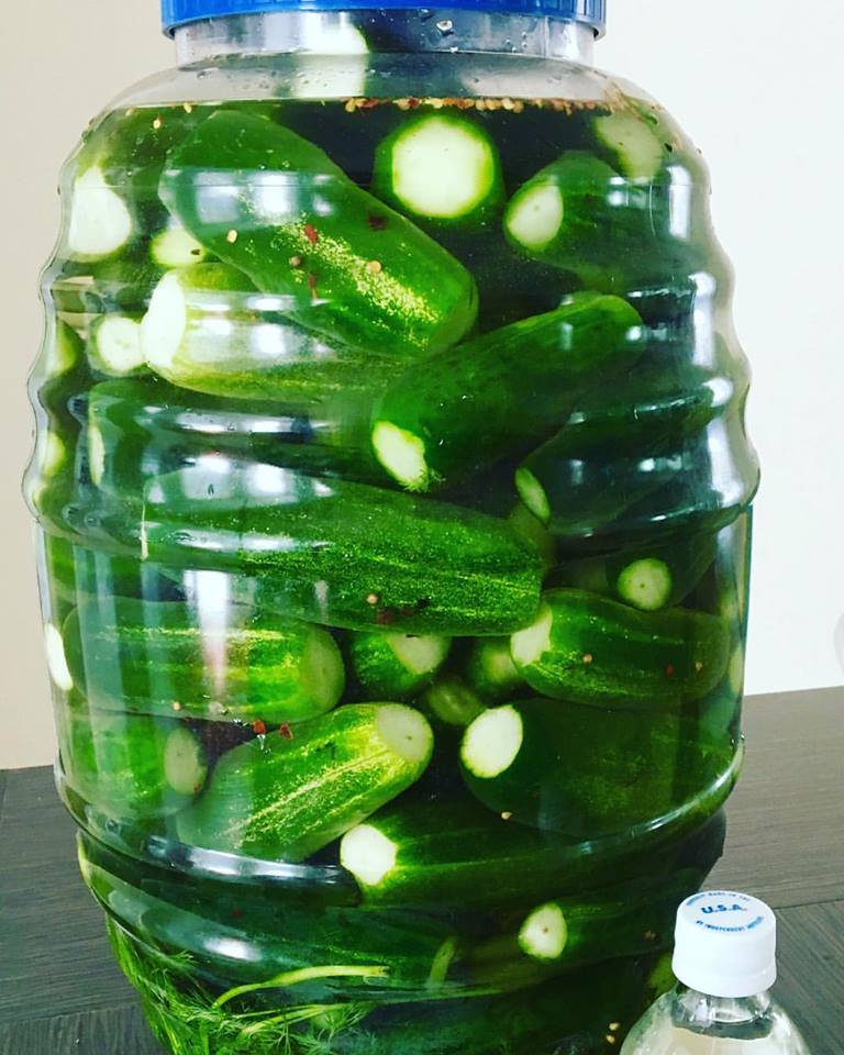 5. Frankenbun inception-app-prod/MTExNzI4M2ItMjVkNC00Y2M0LWJmZjAtOGI0ZTUwMDVmNzNh/content/2023/01/0735ca8a85a739e96ec910bcaae886751e6e636e.jpg