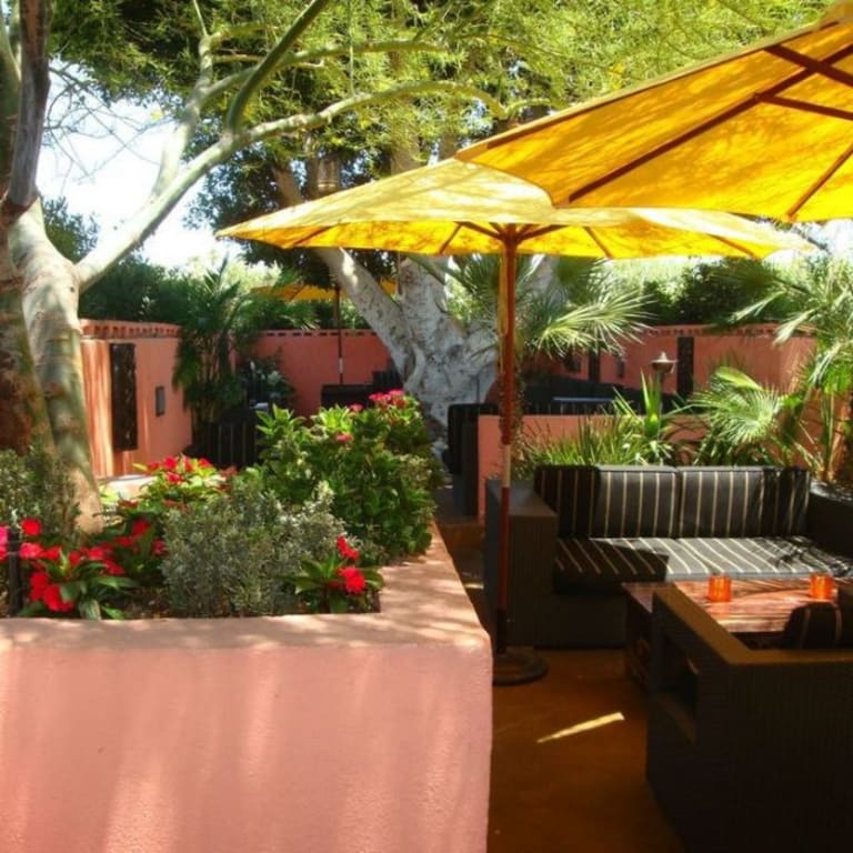 12. The Tropicale inception-app-prod/MTExNzI4M2ItMjVkNC00Y2M0LWJmZjAtOGI0ZTUwMDVmNzNh/content/2023/01/5989f34d87e8e5eca250837cd036f337130c0d80.jpg