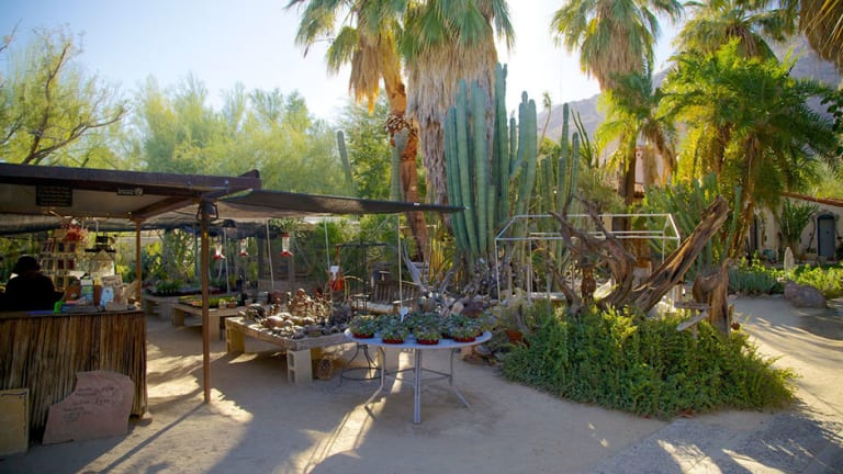 <p>5. Moorten Botanical Garden</p> inception-app-prod/MTExNzI4M2ItMjVkNC00Y2M0LWJmZjAtOGI0ZTUwMDVmNzNh/content/2023/01/7faf506c8cc8afd73a6d876e41e150cc7bb69405.jpg