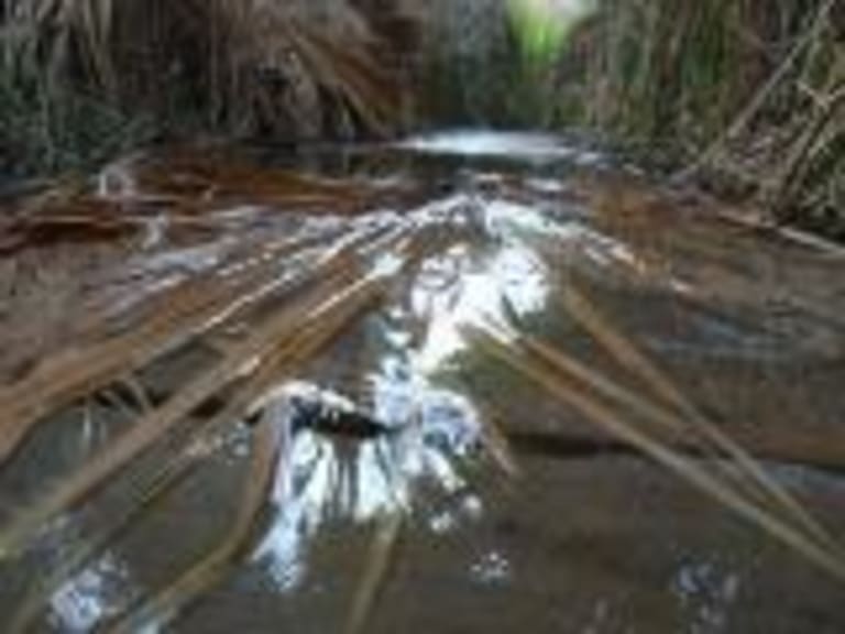 1. Coachella Valley Preserve inception-app-prod/MTExNzI4M2ItMjVkNC00Y2M0LWJmZjAtOGI0ZTUwMDVmNzNh/content/2023/01/8c399abdc7d30694babd7a1f3e87fd5e9eb6ee69.jpg