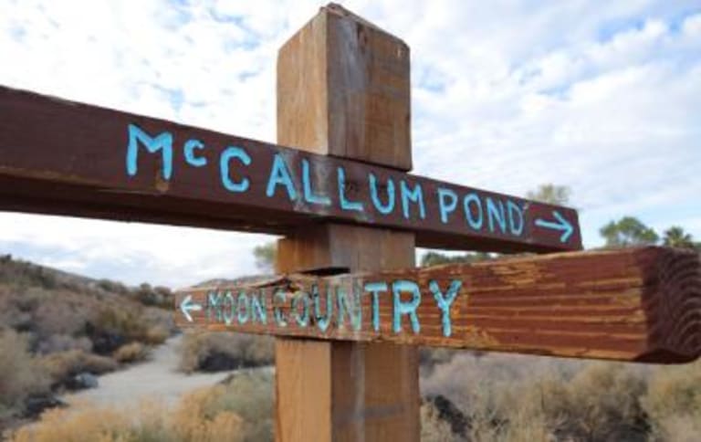 1. Coachella Valley Preserve inception-app-prod/MTExNzI4M2ItMjVkNC00Y2M0LWJmZjAtOGI0ZTUwMDVmNzNh/content/2023/01/9086f49ace2c4b72f579e5cef728c303759ba097.jpg