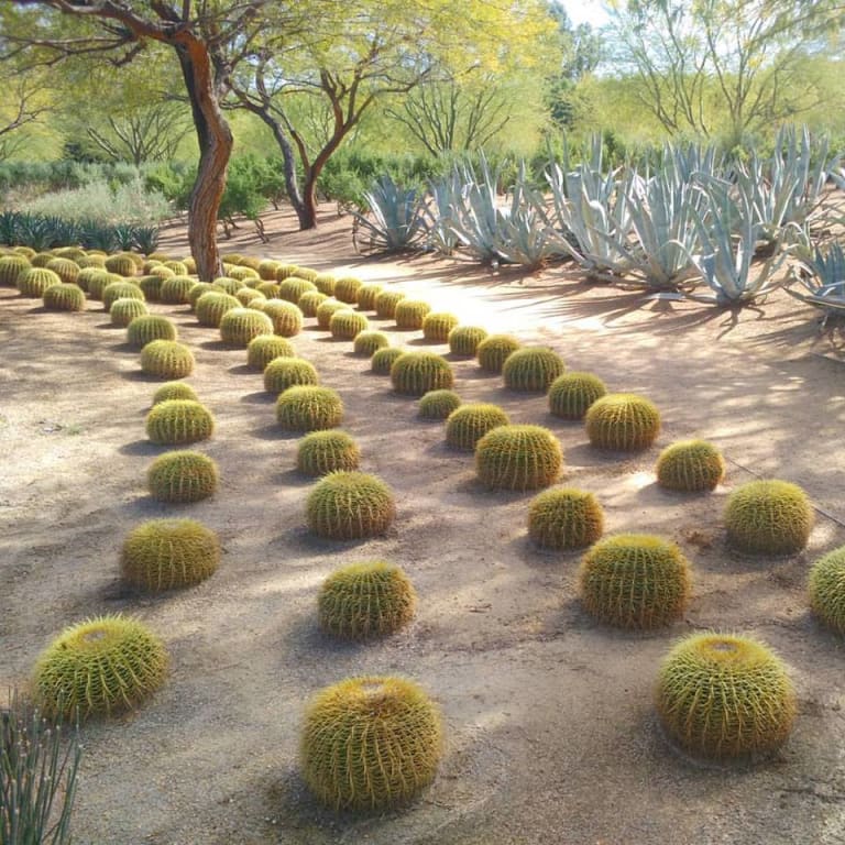 <p>10. Sunnylands</p> inception-app-prod/MTExNzI4M2ItMjVkNC00Y2M0LWJmZjAtOGI0ZTUwMDVmNzNh/content/2023/01/c11ae472665c885e1a9fa5437b72048a35c8d0a3.jpg